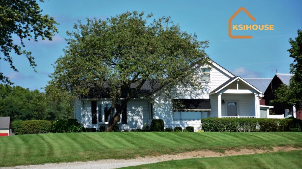 Why Choose Magnolia Home Grasscloth